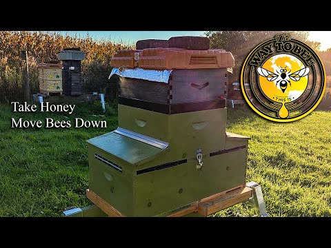 Packing Down a Bee Hive For Winter The Keeper's Hive Two Queen System