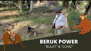 Download lagu BERUK POWER | 'BULAT & LONG' PETIK 1,000 BIJI KELAPA SETIAP HARI! mp3 Download lagu BERUK POWER | 'BULAT & LONG' PETIK 1,000 BIJI KELAPA SETIAP HARI! mp3