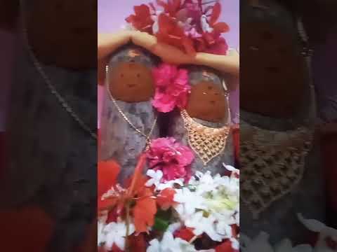 🙏savitri puja🙏||#trending #viral #shorts
