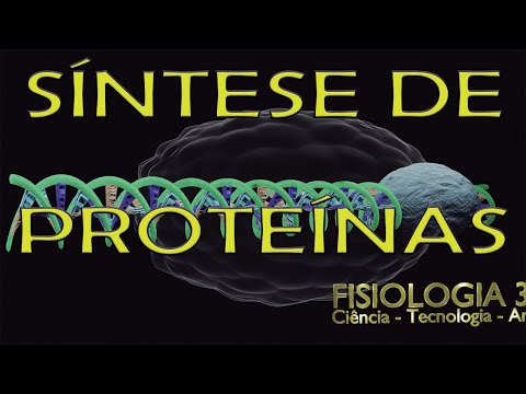 Aula 28 - Síntese Proteica. As Etapas de tradução e Transcrição.