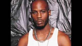 DMX The Professional