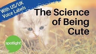 The Science of Being Cute | practice English with Spotlight