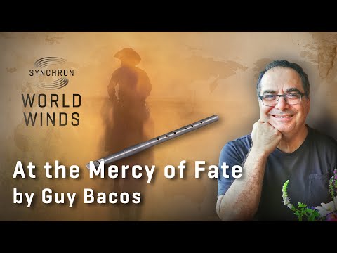 Synchron World Winds: At the Mercy of Fate - Tin Whistle in Low D - Screencast