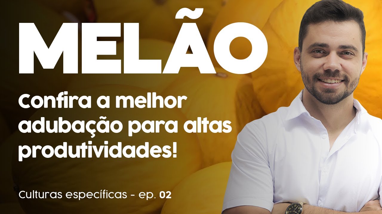 MELÃO - Adubação para altas produtividades | CULTURAS ESPECÍFICAS #02