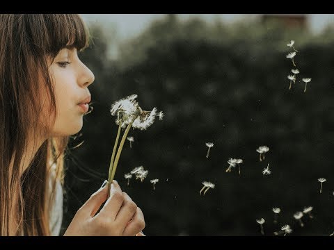 Escolha Certa ou Escolha Errada?