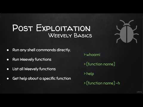 Основы Weevely Получаем доступ к остальным веб сайтам используем Shell коман