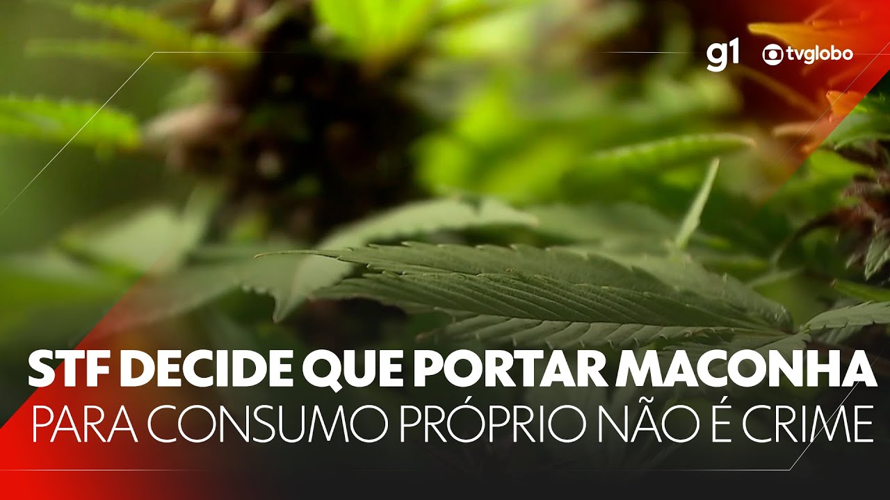 STF decide que portar maconha para uso pessoal no Brasil não pode ser considerado crime #JN #g1