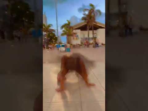 Rochelly Eloá MORENITA FAZ ASSIM🔥🔥