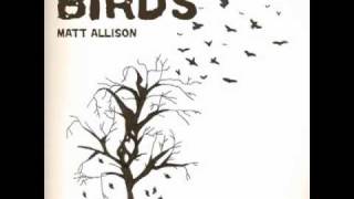 Birds - Matt Allison