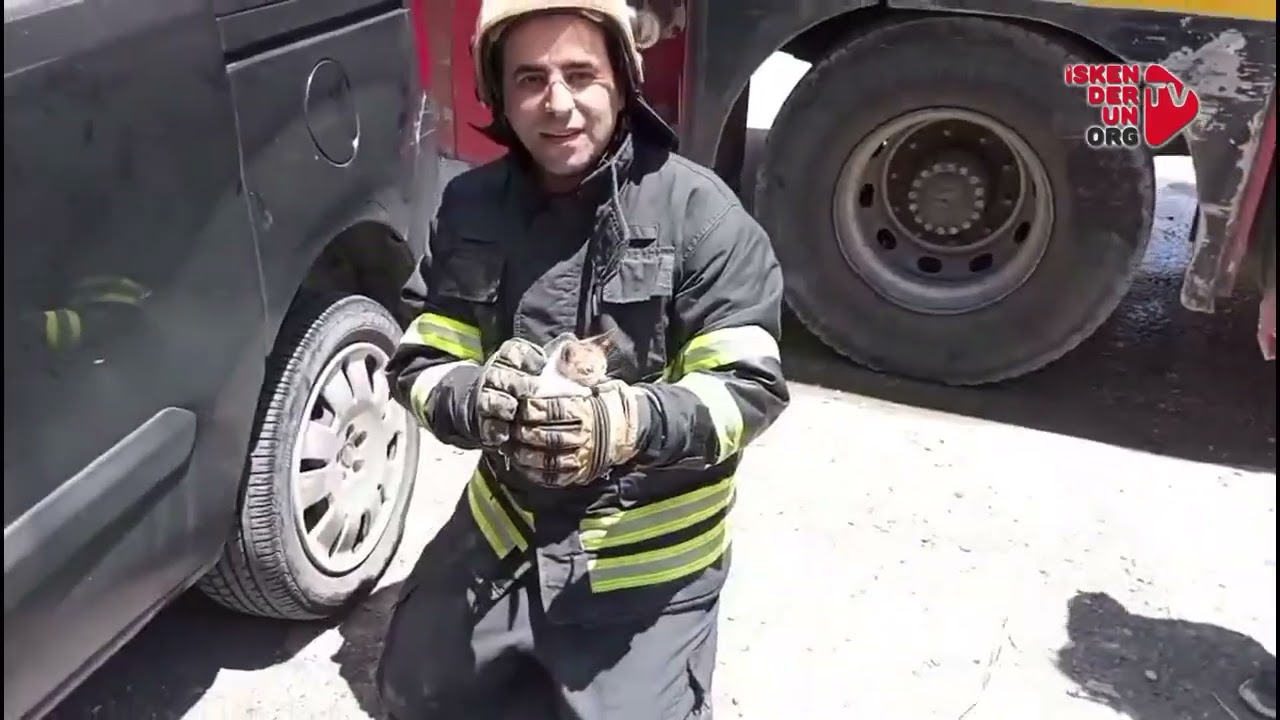 Aracın Motoruna Giren Yavru Kedi Heyecan Yarattı