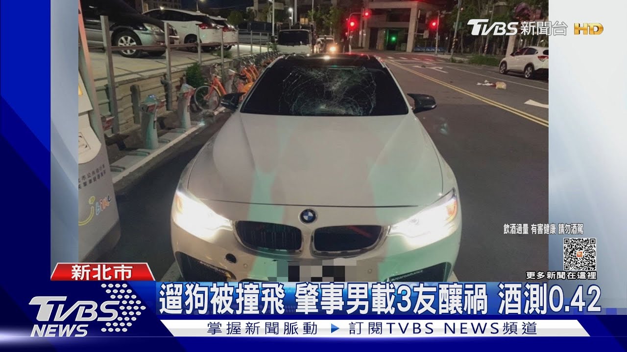 遛狗被撞飛 肇事男載3友釀禍 酒測0.42