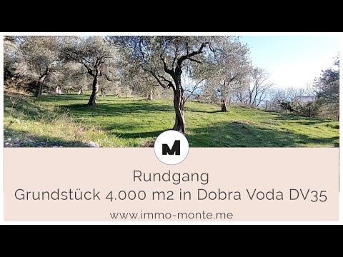 Immo Monte - Grundstück 4.000 m² in Dobra Voda DV35 - Rundgang