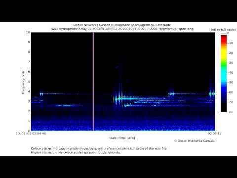 Powerful Sonar Pings and Sweeps in the Strait of Georgia