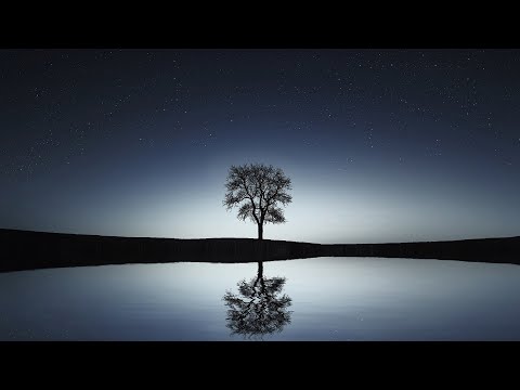 Bebe - Rosalinda Silver