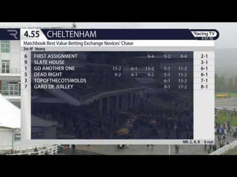 Slate House bolts up in a Novice chase at Cheltenham 2019