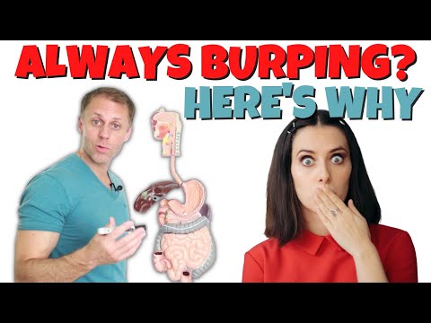 Why Do I Burp So Much