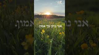 זה עיקר התיקון של הדור (הרב אייל עמרמי) - התמונה מוצגת ישירות מתוך אתר האינטרנט יוטיוב. זכויות היוצרים בתמונה שייכות ליוצרה. קישור קרדיט למקור התוכן נמצא בתוך דף הסרטון