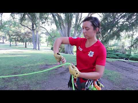 Inline Figure 8 Knot (Search and Rescue)