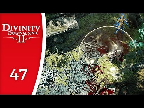 The hard way in - Let's Play Divinity: Original Sin 2 #47