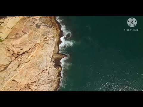 Butterfly | song written by Bernie Lowe and Kal Mann and published in 1957  | VT