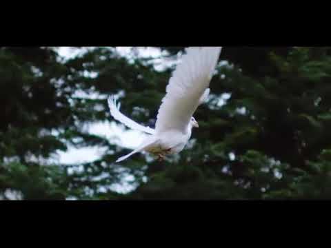 Fada Sheyin - Come Holy Spirit [Feat. Chris Morgan & Mercy Idoko