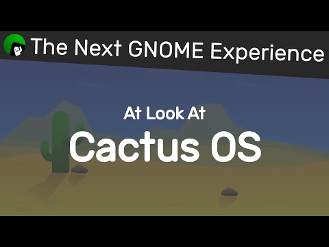 A look at Cactus and theDesk