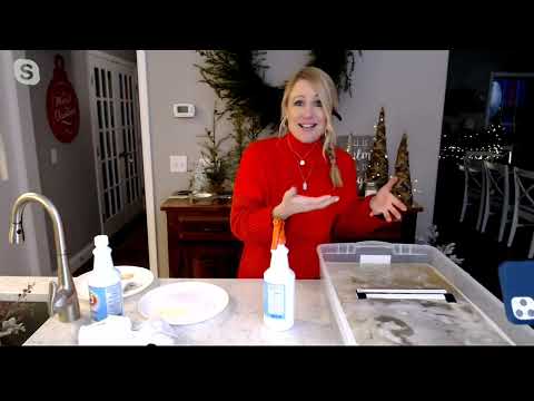 NP9 Set of 2 Indoor/Outdoor Stain Remover & Degreasers on QVC