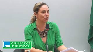 DESASTRES NATURAIS - Votação de requerimentos - 14/07/2026 15:30