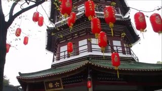 2016-03-14 Temple of the Six Banyan Trees, Guangzhou