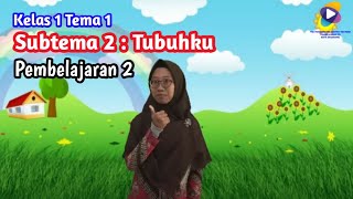 Kelas 1 Tema 1 Subtema 2 Pembelajaran 2