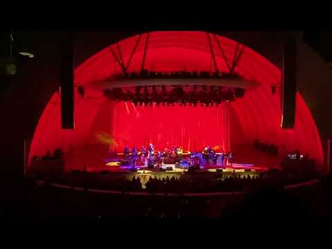 Steely Dan @ Hollywood Bowl 27 May 2022