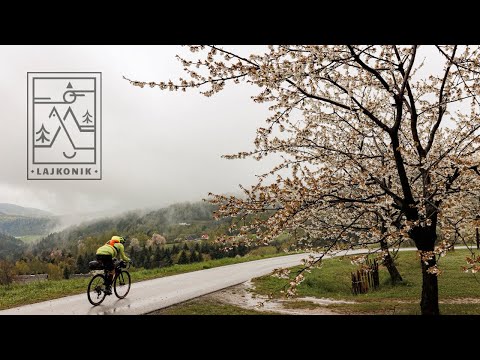 Film – Edycja 2023 (YouTube)