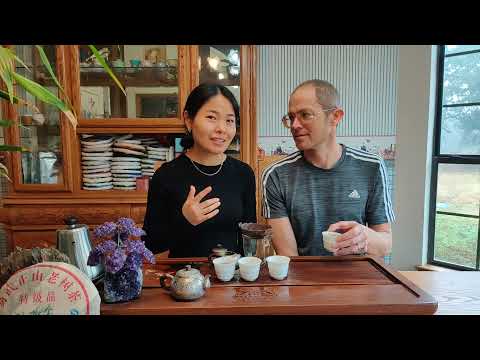 Drinking the 2006 Hong Xuan "Yi Wu Zheng Shan" Raw Pu-erh Tea Cake