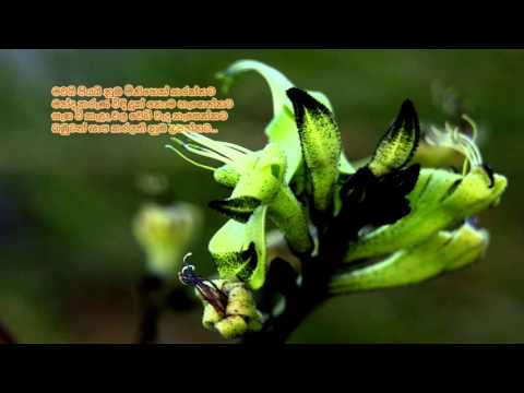 Mawayi Piyayi Numba Minisek Karannata - මවයි පියයි නුඹ මිනිසෙක...