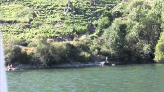 Arvo Pärt - Kuus kuus kallike