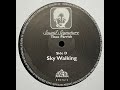 Theo Parrish - Sky Walking (1998)