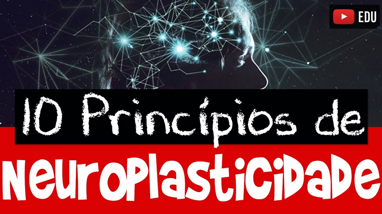 NEUROPLASTICIDADE: 10 Princípios que você precisa conhecer!