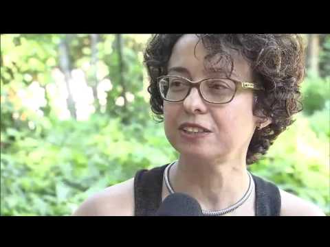 Dicionário propõe alteração do verbete família