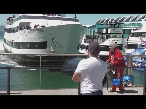 Tourist boat slams into San Diego harborside