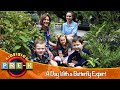 A Day With A Butterfly Expert Butterfly World Virtual Field Trip KidVision Pre K