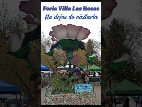 Feria Villa Las Rosas  #motorhome #turismo #elritmodelaselva #viajarporargentina #vacaciones