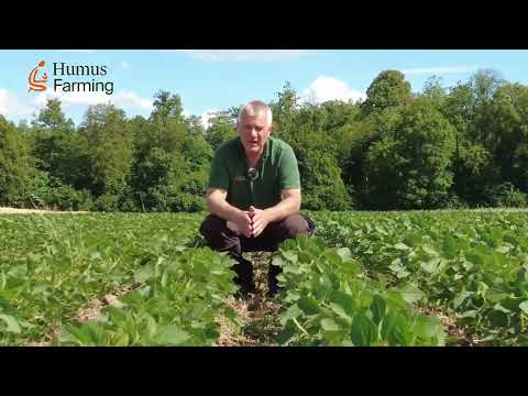 Teil 4 - Regenerative Landwirtschaft Friedrich Wenz HumusFarming - Soja und Grünland - 03. Juli 2023