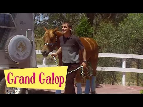 Grand Galop 222 - Les jeux sont faits (Partie 1) | HD | Épisode Complet