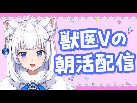お喋り獣医が元気に語りまくる朝活【北国ここな/獣医Vtuber/朝活配信】