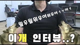 이개 인터뷰인가요..?
