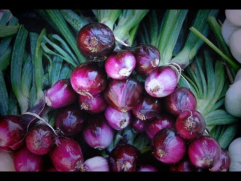 Obat apa yang terbaik untuk meningkatkan potensi Bijaksana untuk pembesaran penis