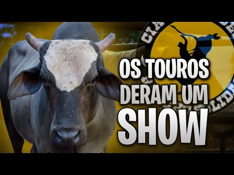 RODEIO EM TOUROS / Treino na Cia. Rancho Solidão - Guapiaçu/SP