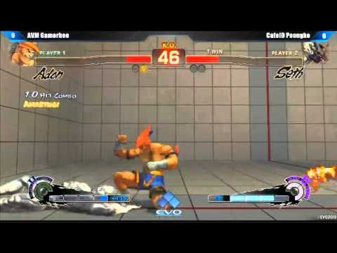 EVO2013 SSF4AE AVM GamerBee vs CafeID Poongko