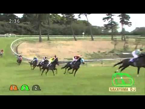 2016.04.16 Nakayama Grand Jump (JPN) - Oju Chosan