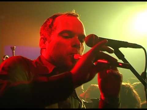 Die Vögel Live at WMF, Berlin 19.11.2009